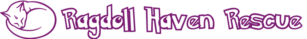 Ragdolls Kitten Rescue